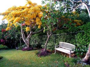 Goldenteak's Teak Bench in St. Lucia - customer photo