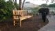 Teak Hyde Park Bench 6 Ft in Boston - Goldenteak Customer Photo