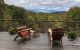 Teak Adirondack Chairs on Deck Mountains - Goldenteak